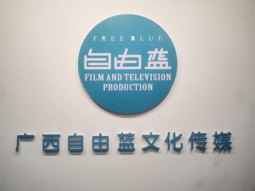 央媒品牌天下播報(bào) 全國(guó)亞健康標(biāo)準(zhǔn)化建設(shè)新聞發(fā)布會(huì)在廣西南寧召開，創(chuàng)意策劃引領(lǐng)健康新紀(jì)元